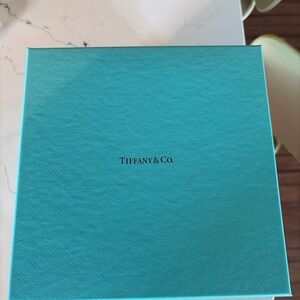 Tiffany & Co. Turquoise Presentation Box